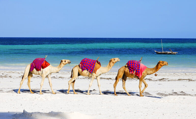 Tourisme : un géant économique freiné par des blocages persistants