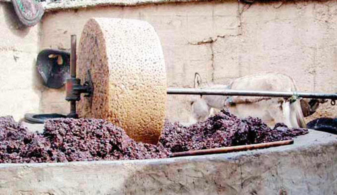 Manouba : une huilerie fermée pour déversement illégal de margine