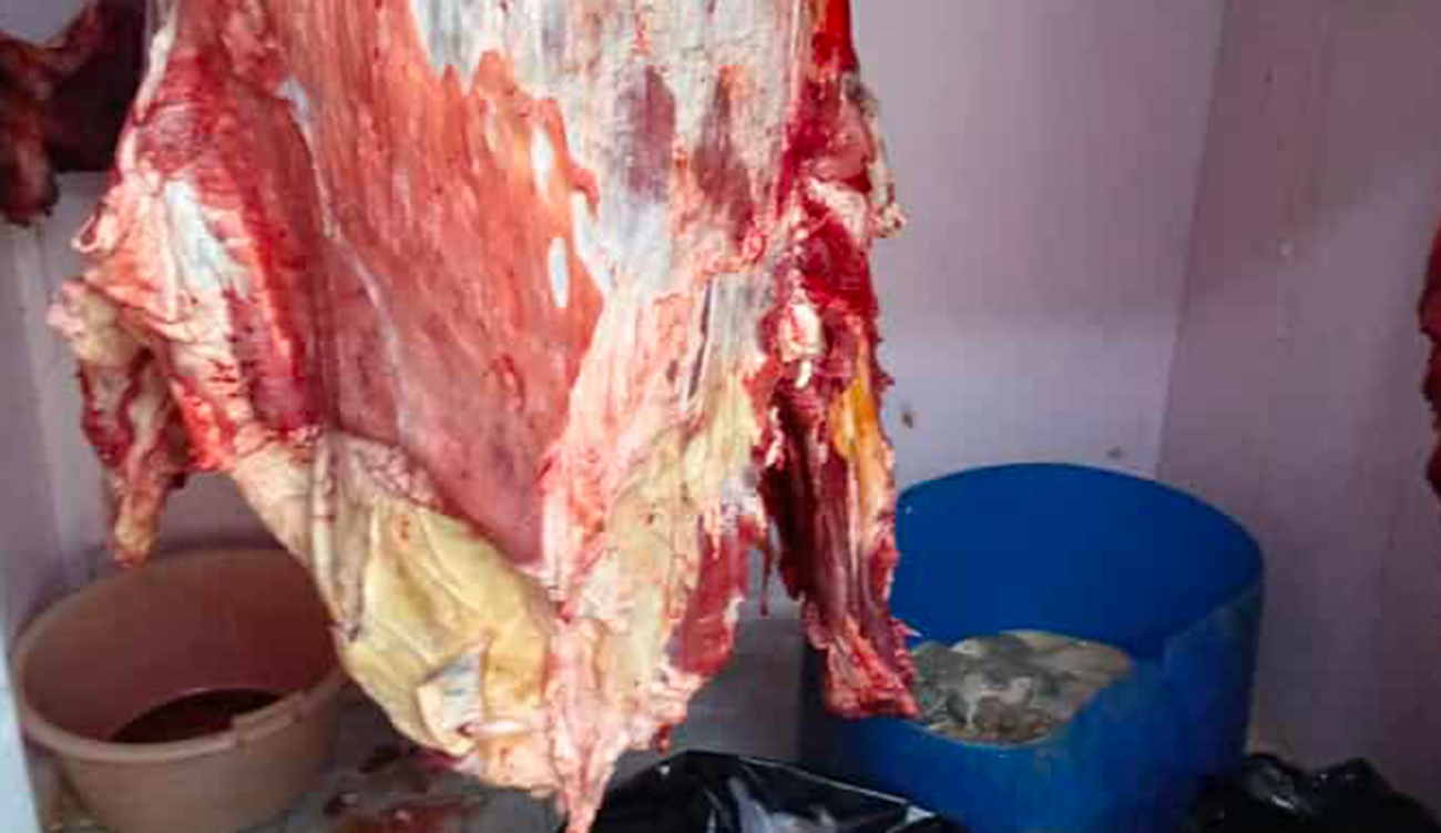 Manouba : saisie de 500 kg de viande impropres à...