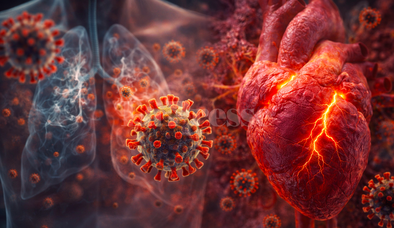 Grippe sévère et lésion cardiaque : pourquoi le virus endommage...