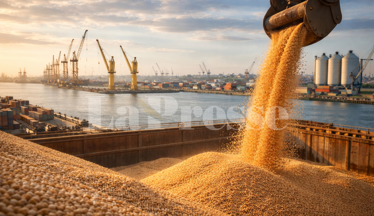 L’Office des céréales lance un appel d’offres pour 100 000...