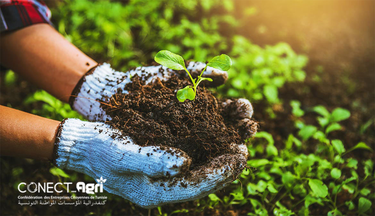 CONECT Agri renaît : vers une agriculture innovante et compétitive...