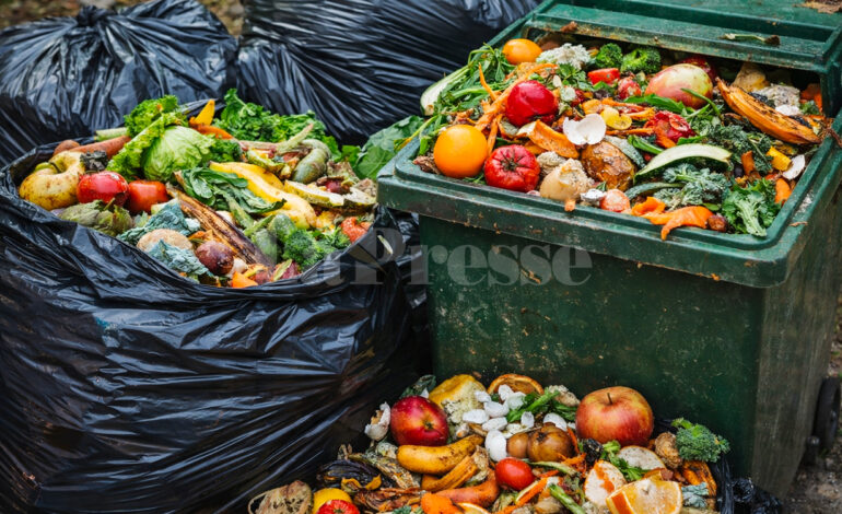 Comment réduire le gaspillage alimentaire : les conseils pratiques de l&rsquo;INC