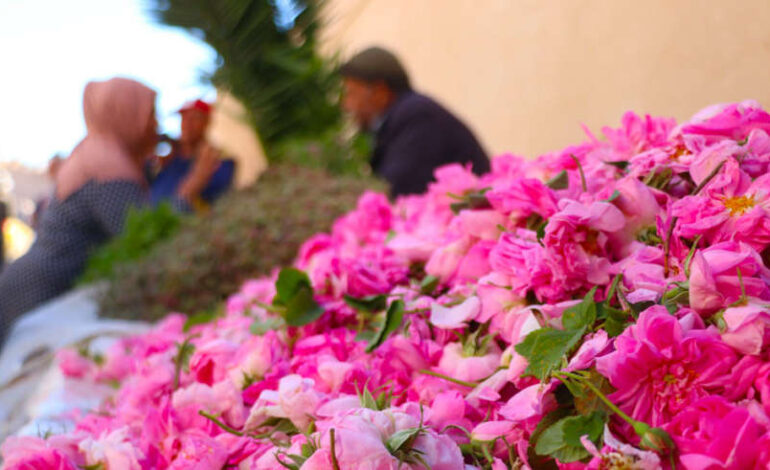 Kairouan : lancement de deux concours photo et vidéo pour...