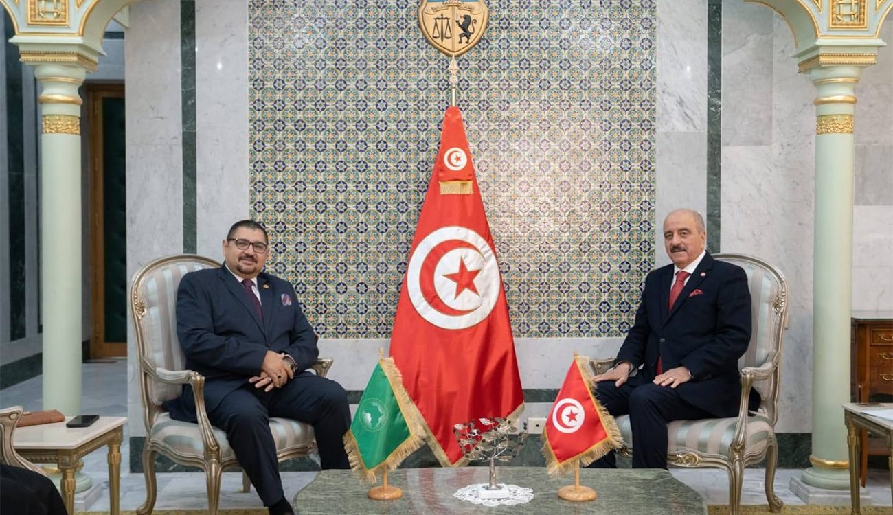 Tunisie : lancement imminent du Centre africain d’excellence pour les...
