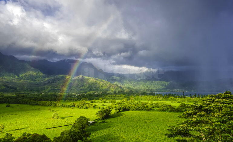 Tunisie : pluies orageuses et chutes de grêle attendues cet après-midi dans plusieurs régions