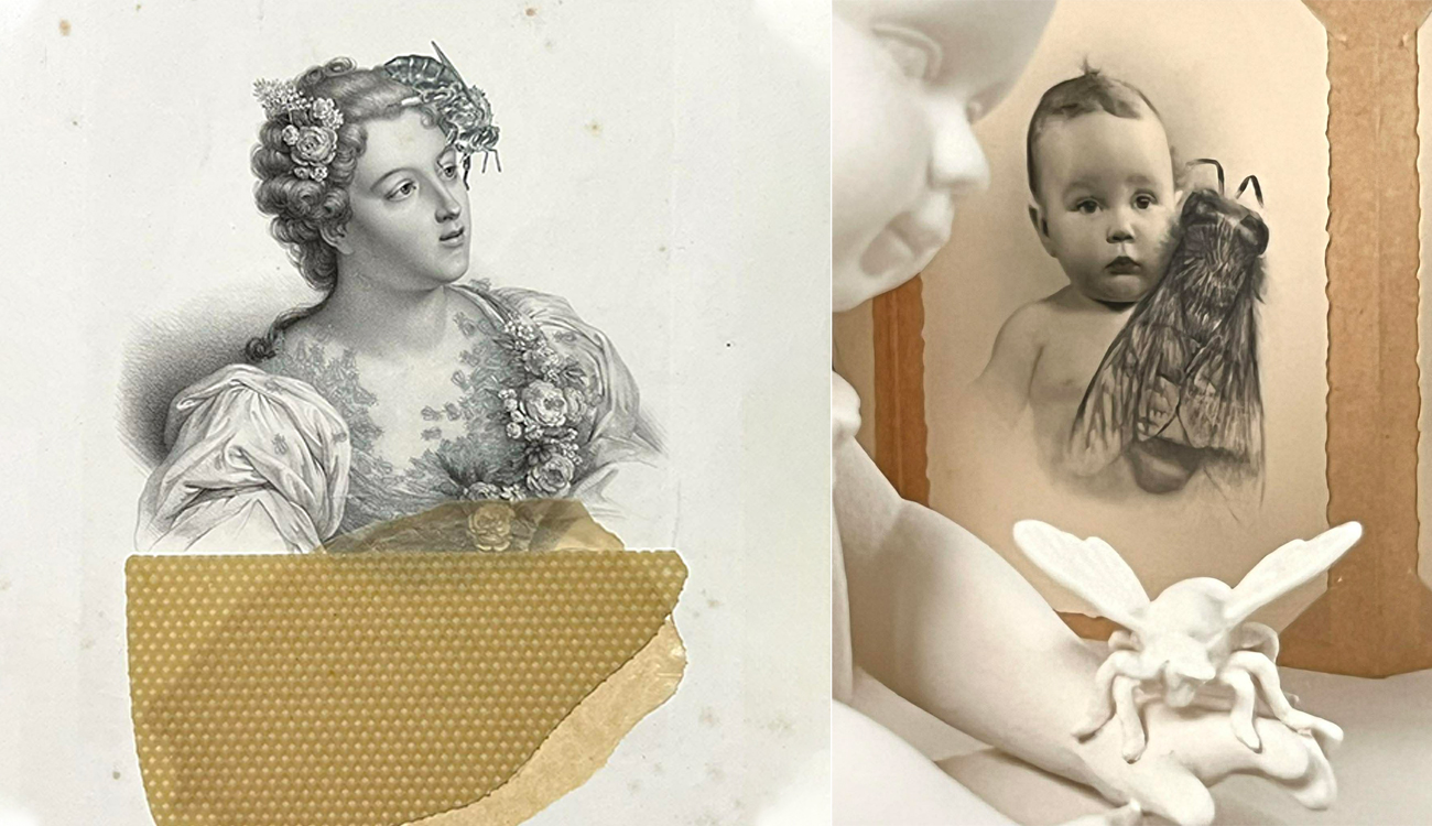 Chahrazed Fekih expose «Apis Mellifica» à la galerie A. Gorgi...