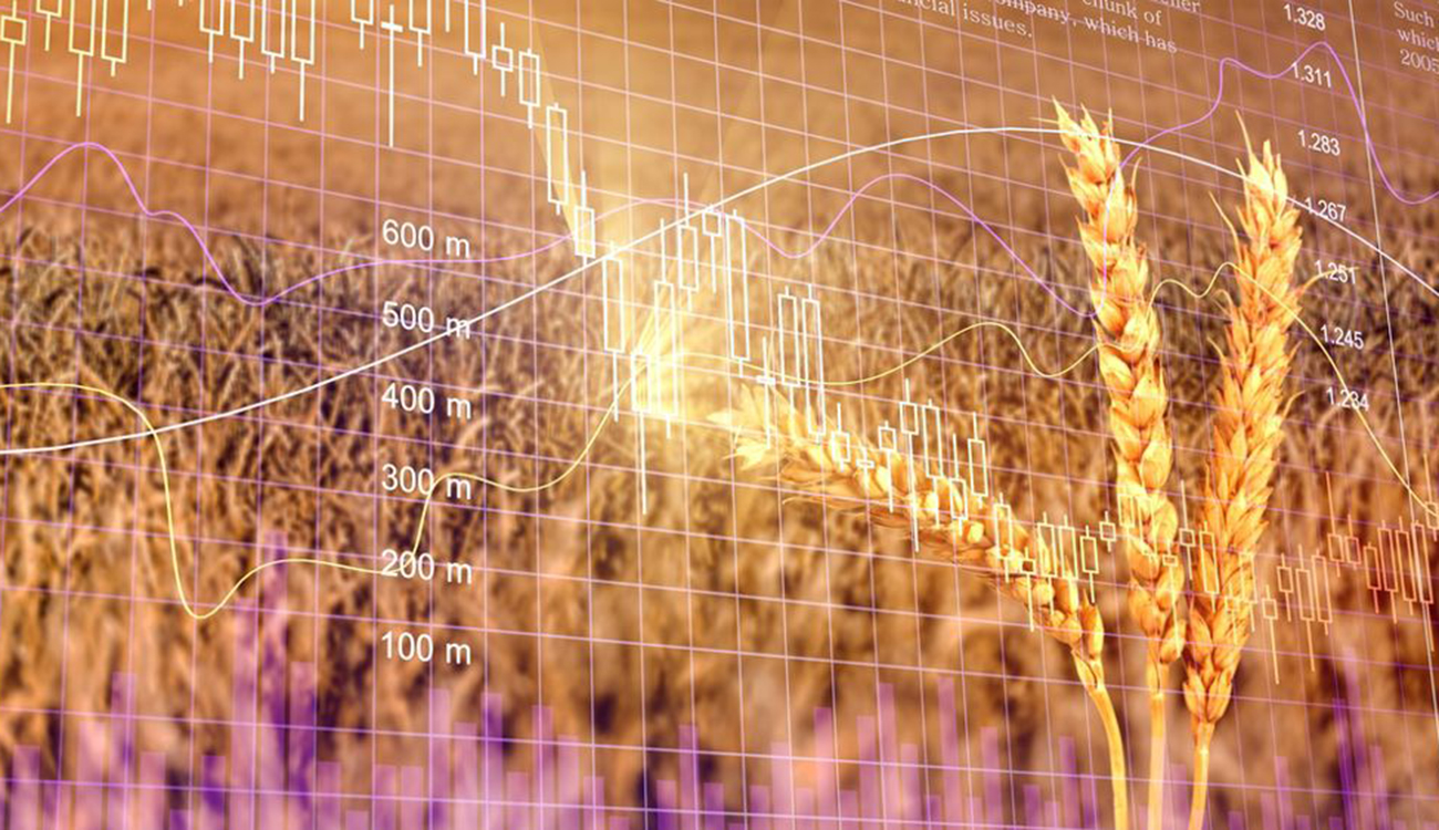 Hausse des cours des engrais et du blé : Des...