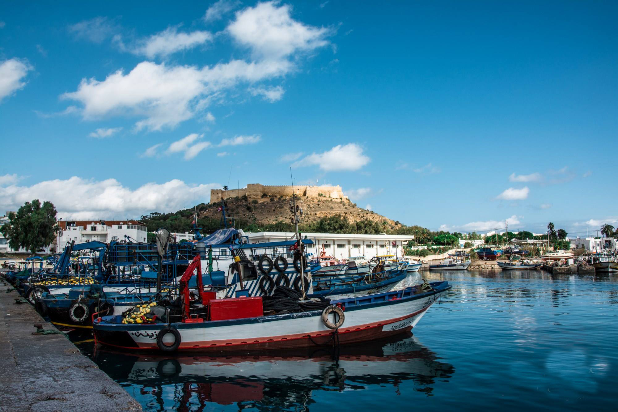 Port de Kélibia : les pêcheurs alertent sur une situation...