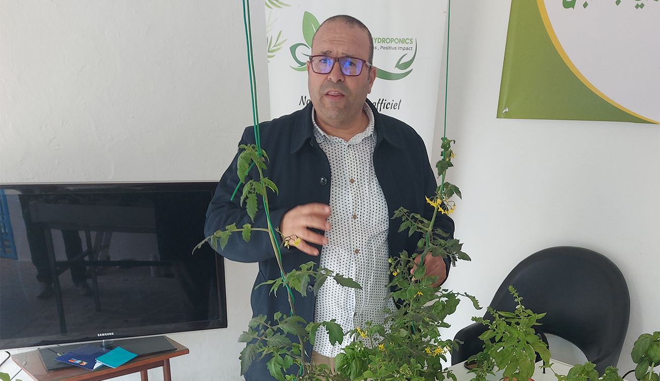 Hydroponie en Tunisie : Pour une agriculture plus résiliente