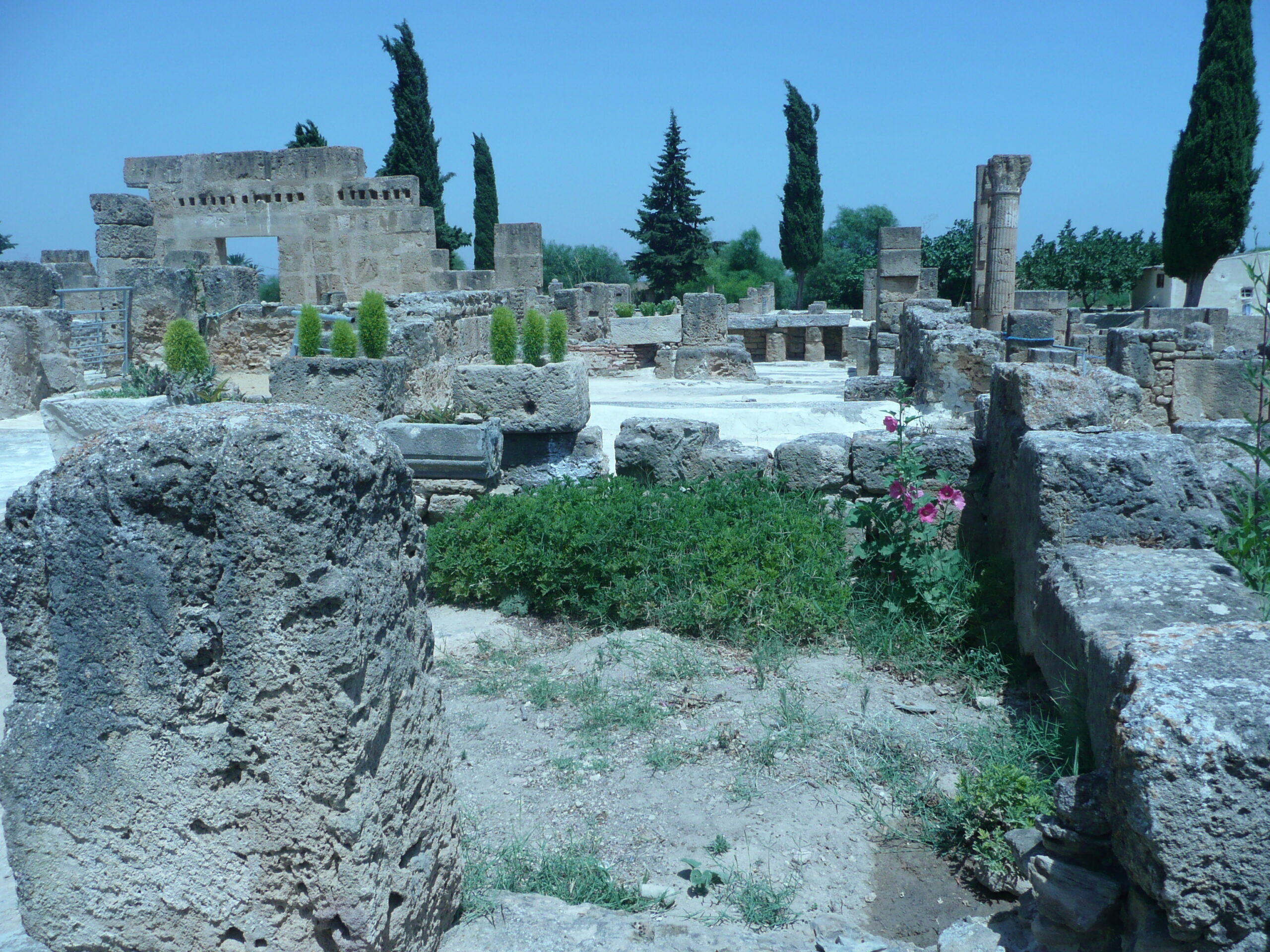 Utique: journée de volontariat pour le nettoyage et l&rsquo;entretien du...