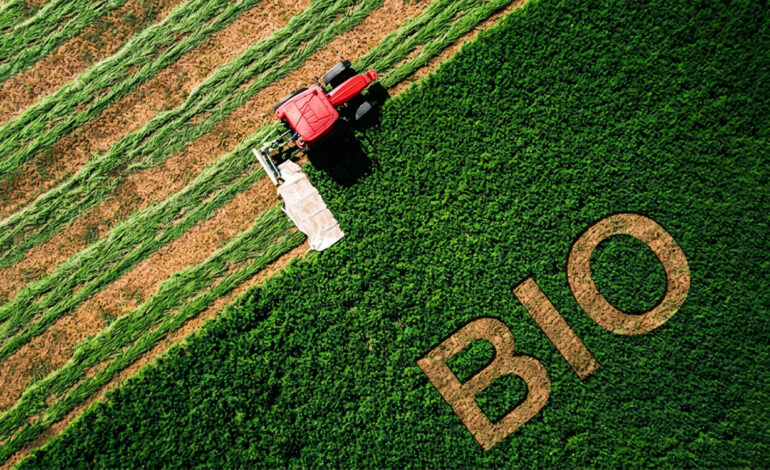 Agriculture biologique : Un modèle à repenser en profondeur