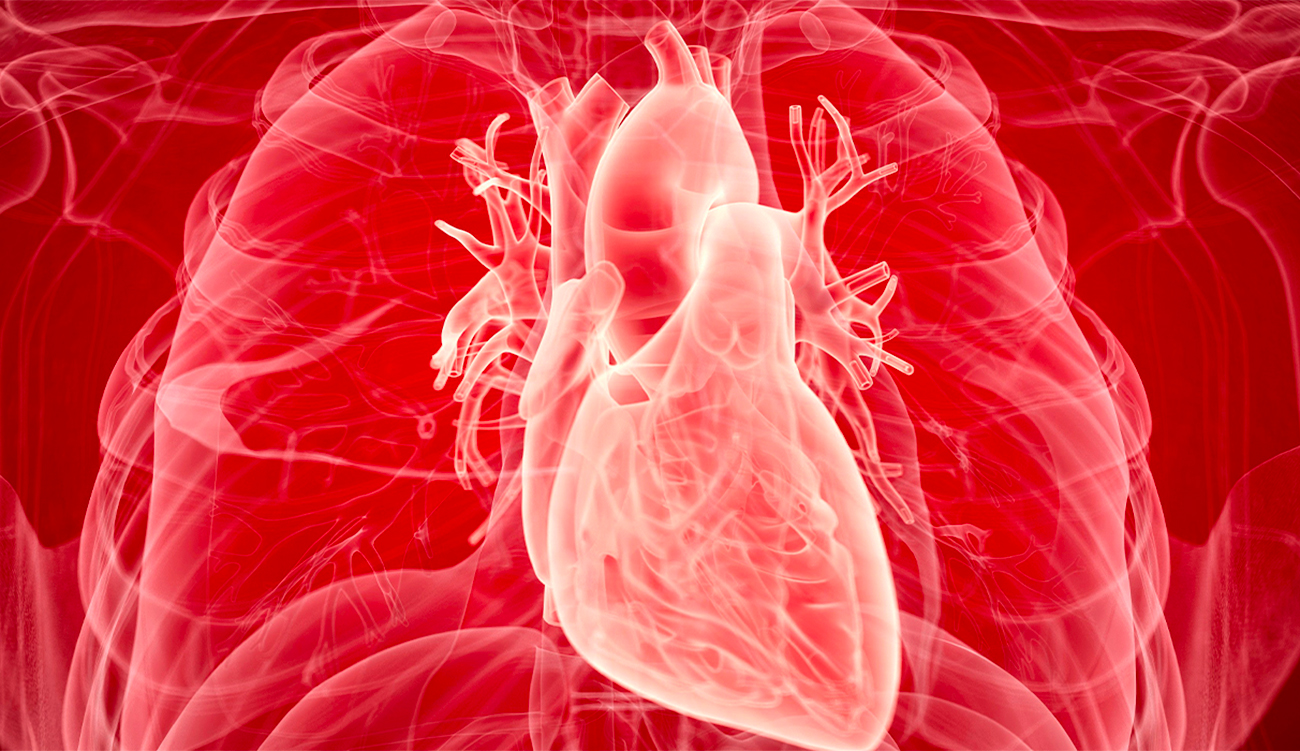 Maladies cardiovasculaires : lancement d&rsquo;un registre national dédié à l&rsquo;amylose...