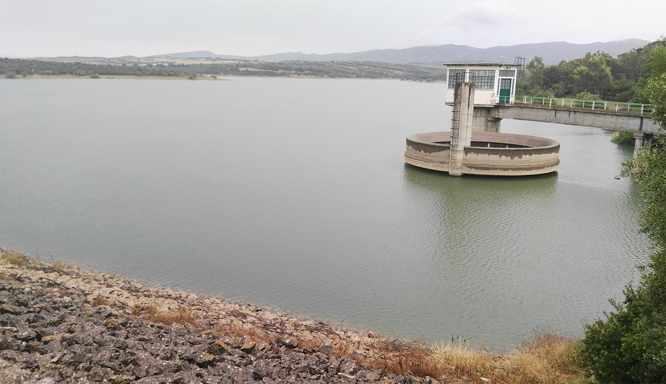 Les barrages du Cap-Bon à moitié pleins : un souffle...