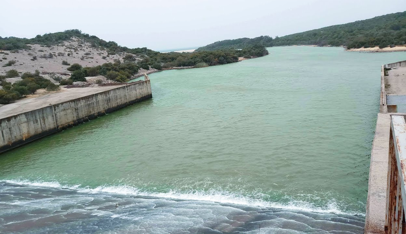 Drame à Béja : Un adolescent de 13 ans se...