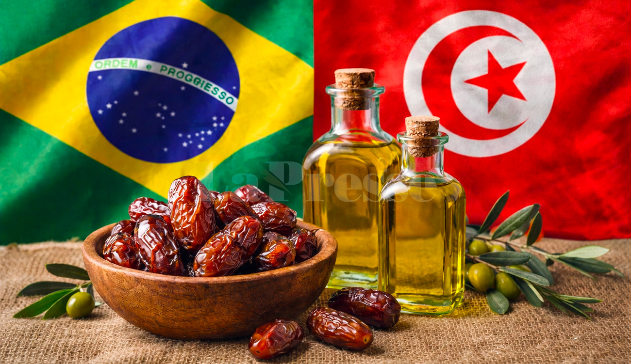 La Tunisie renforce sa percée au Brésil : dattes en...