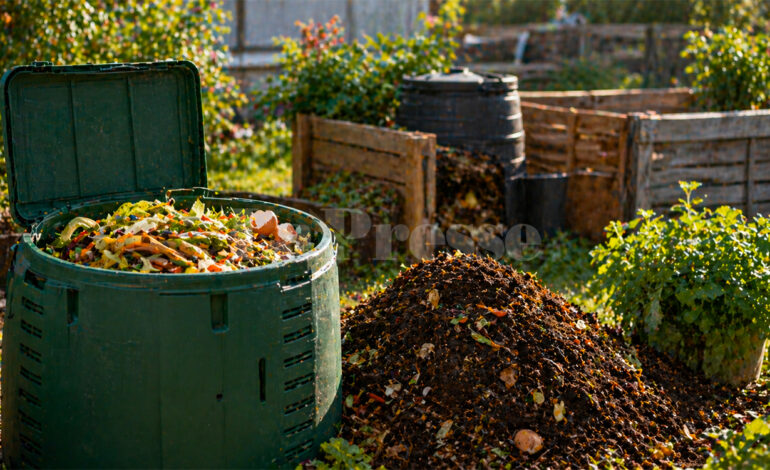 Le programme national de compostage domestique : vers une valorisation durable des déchets organiques