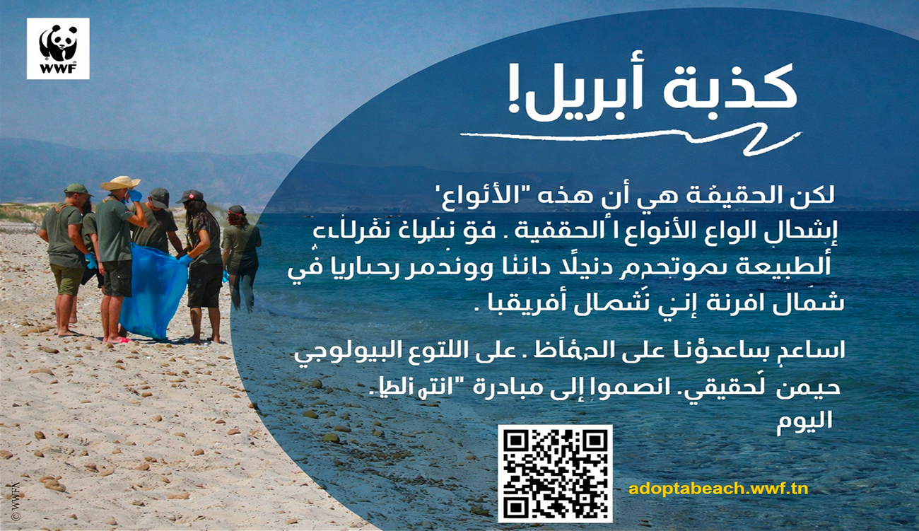Poisson d’avril ou alerte écologique ? Le WWF révèle l’invasion silencieuse...