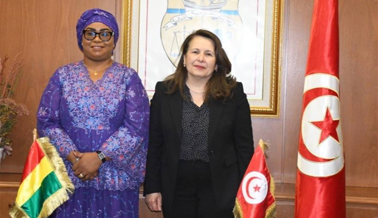 Industrie : la Tunisie et la Guinée explorent de nouvelles...