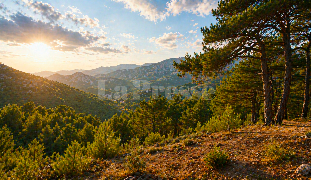 Ecosystèmes forestiers : une nouvelle stratégie pour une gestion durable
