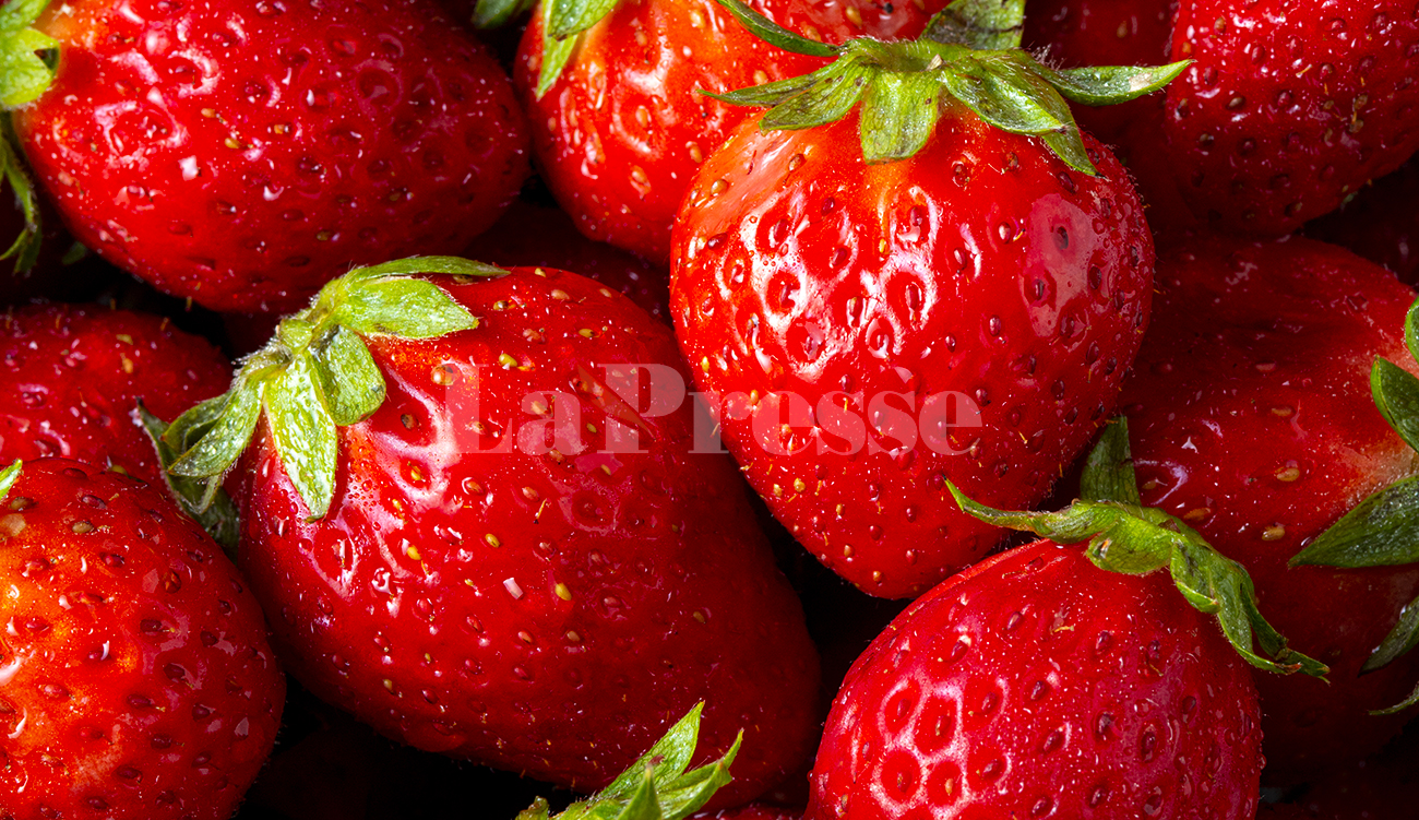 Fraises sur le marché : Le ministère de la Santé...