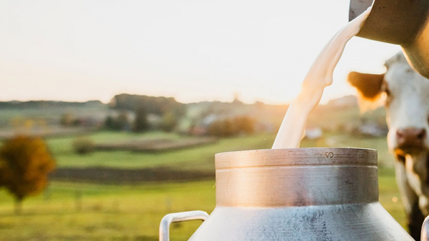 Tuberculose zoonotique : Brisons la chaîne de contamination !