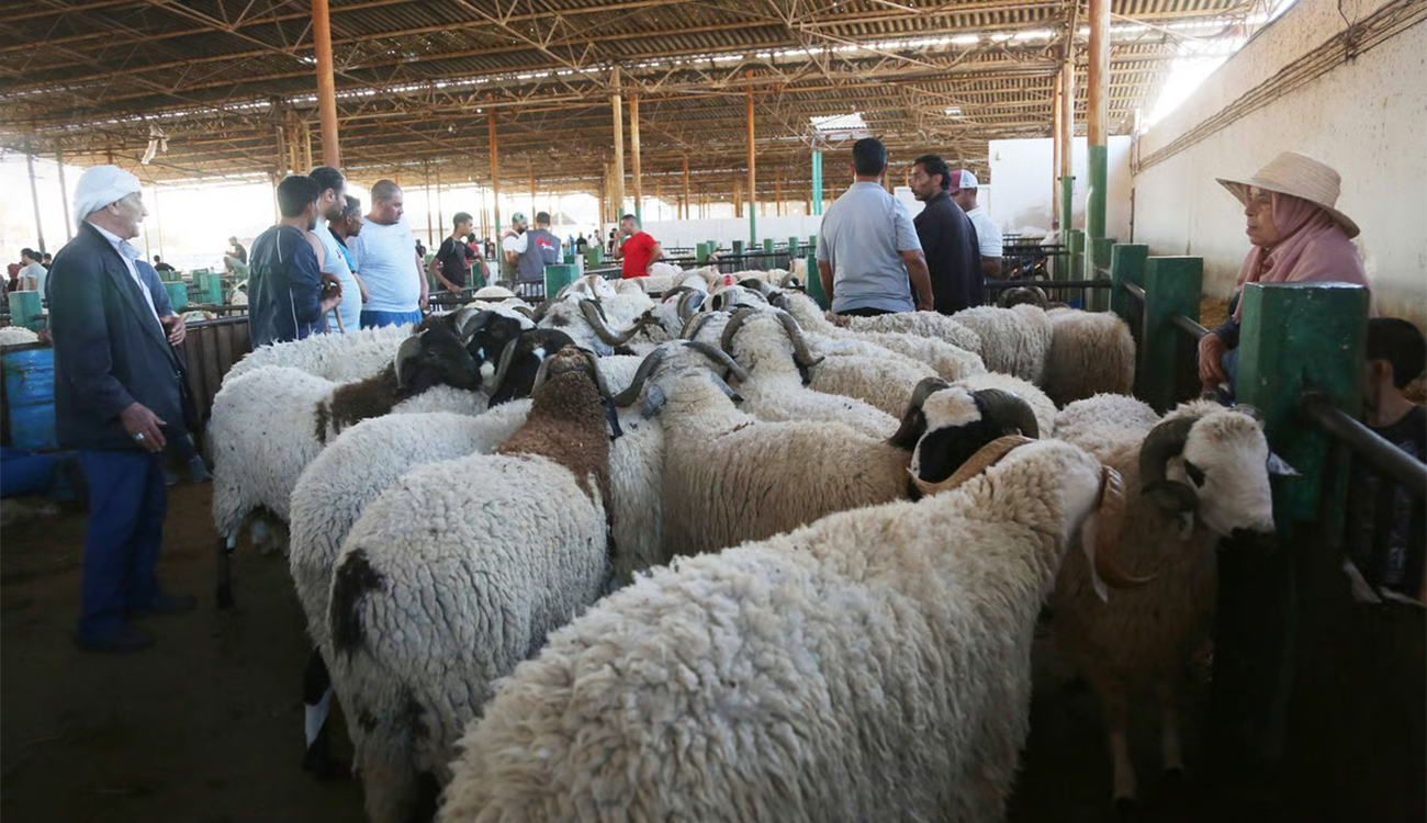 Aïd al-idha : Il est temps de décider