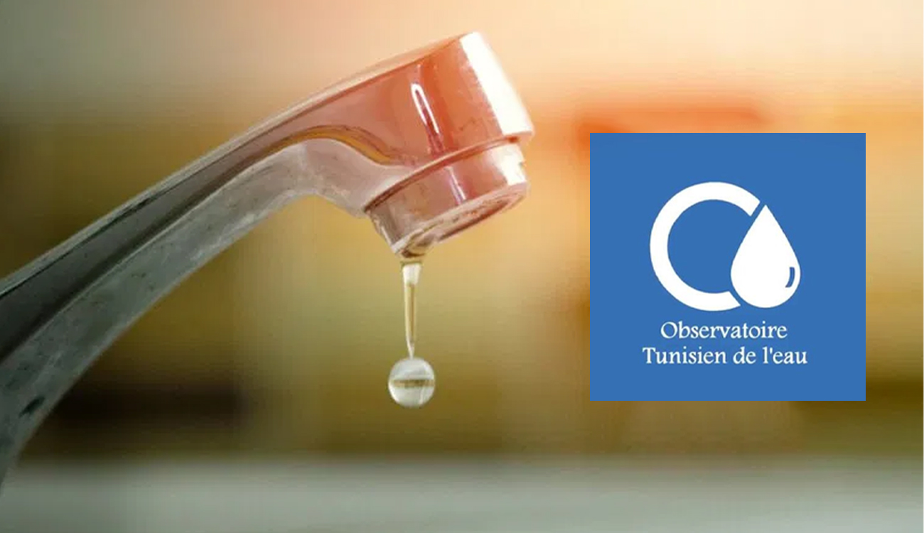 Coupures et perturbations dans la distribution de l’eau potable :...