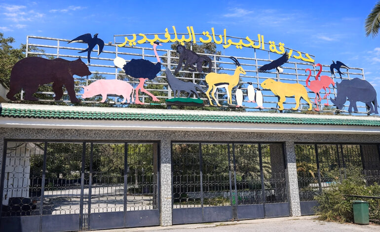 La Ville de Tunis ferme le zoo du Belvédère pendant un mois