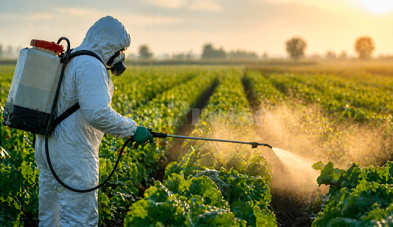 4 000 tonnes de pesticides en 2022 : un poison...