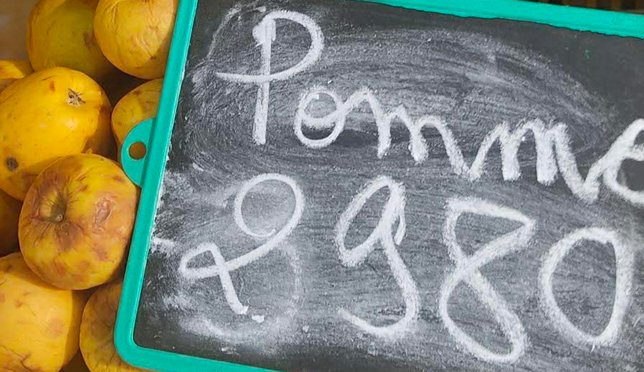 Tunisie : des pommes “invendables” à 3 dinars ? L’image...