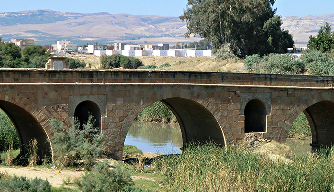 Tunisie : alerte sur les ponts vieillissants, plus de 850...