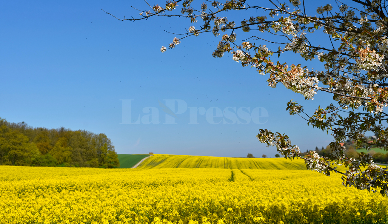 Météo : douceur printanière et des températures comprises entre 20...