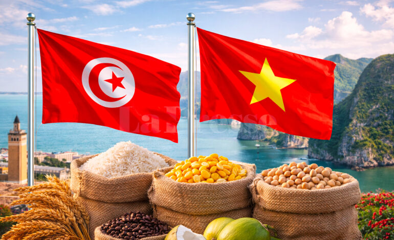 Tunisie : le marché qui ouvre grand ses portes aux produits vietnamiens