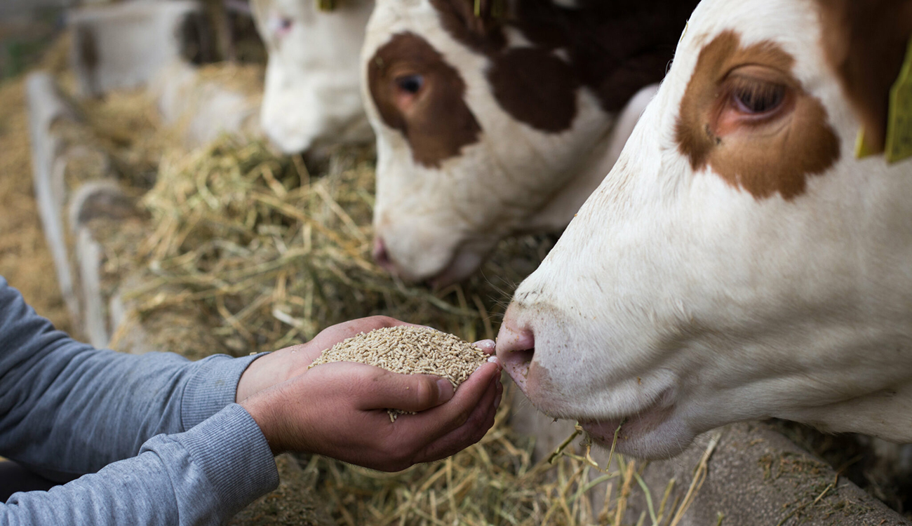 Projets en suspens : Quand l’inaction devient complicité