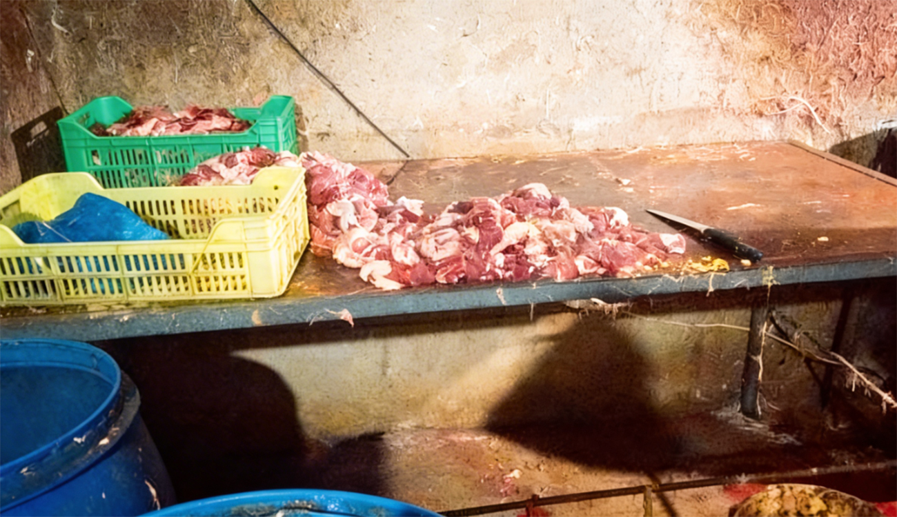 Gafsa : saisie de plus de 350 kg de viandes...