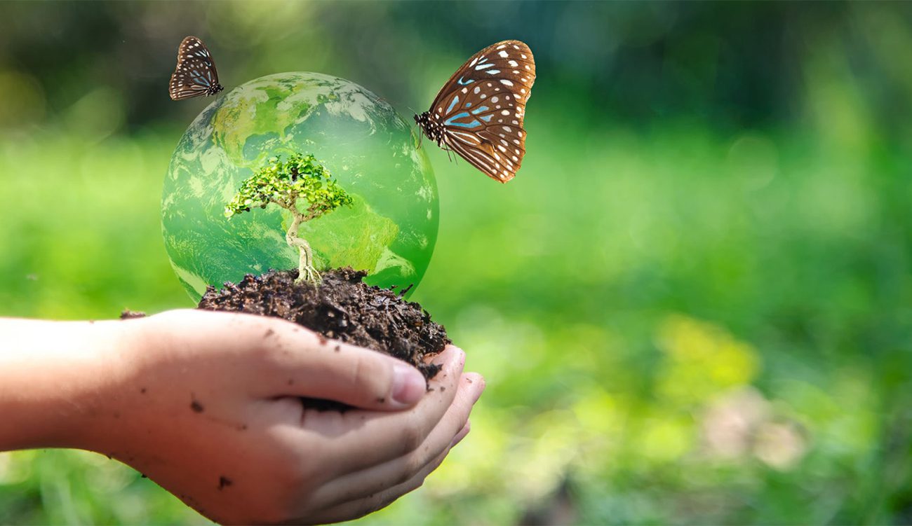 Journée mondiale de la biodiversité : Des menaces sur la...