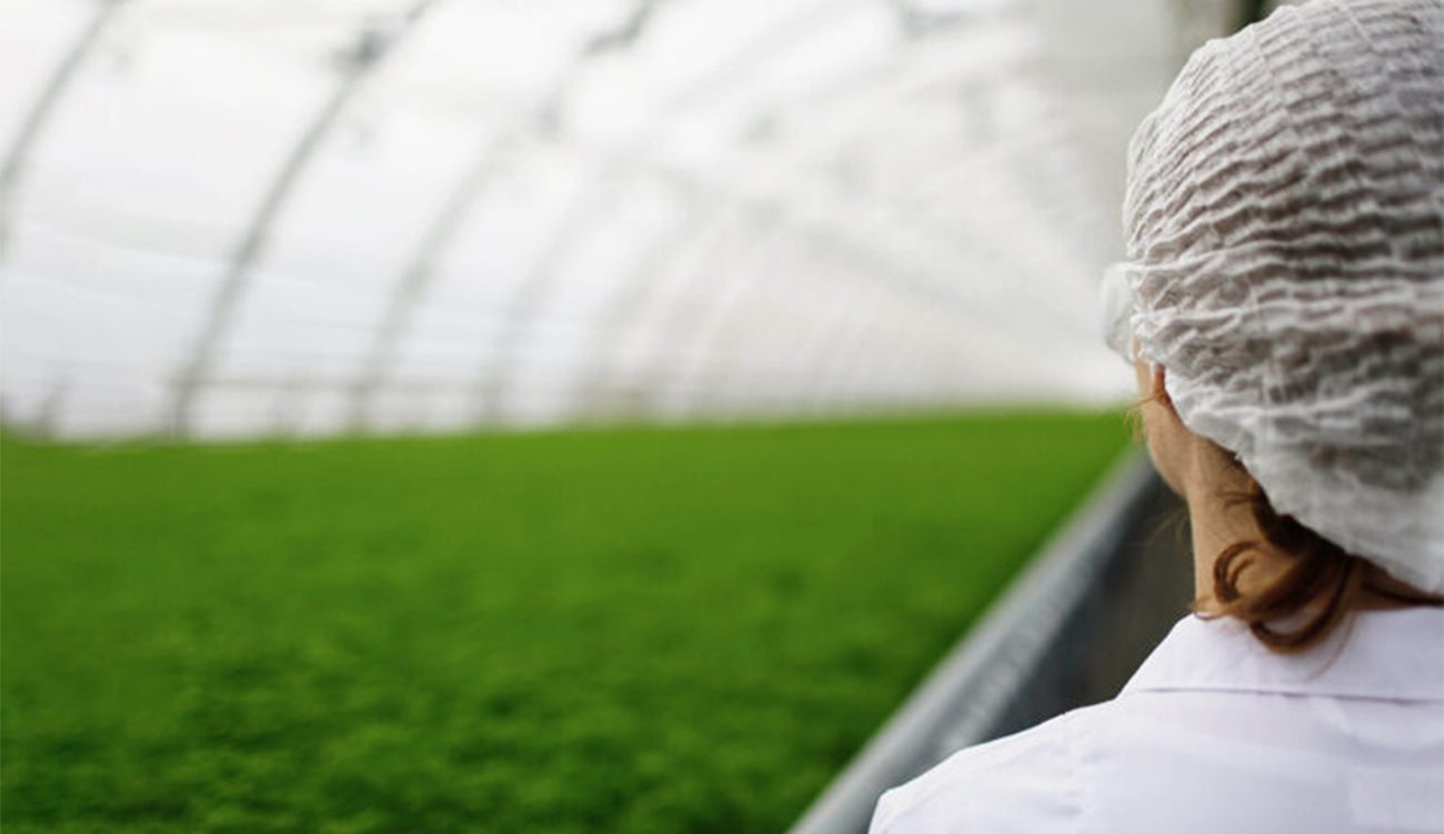 « Agridays » : L’agriculture tunisienne mise  sur les...