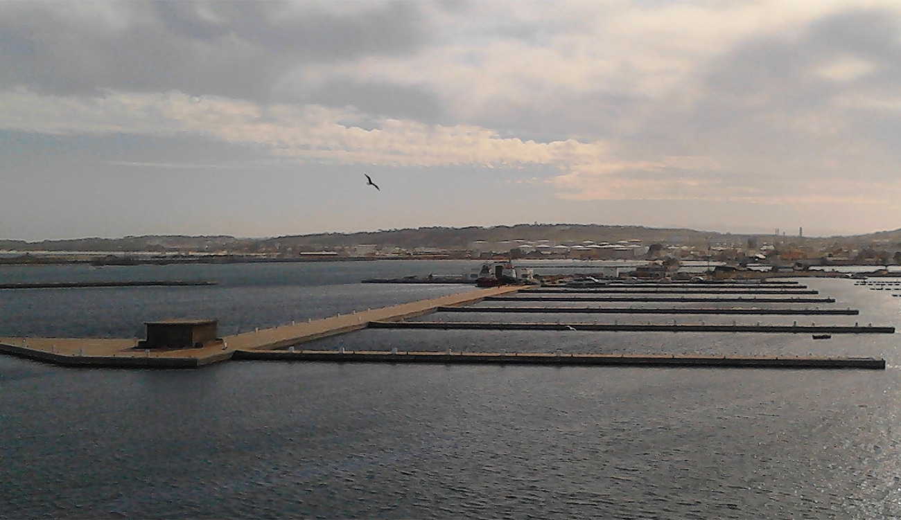 Tunisie : Marina Bizerte bientôt relancée