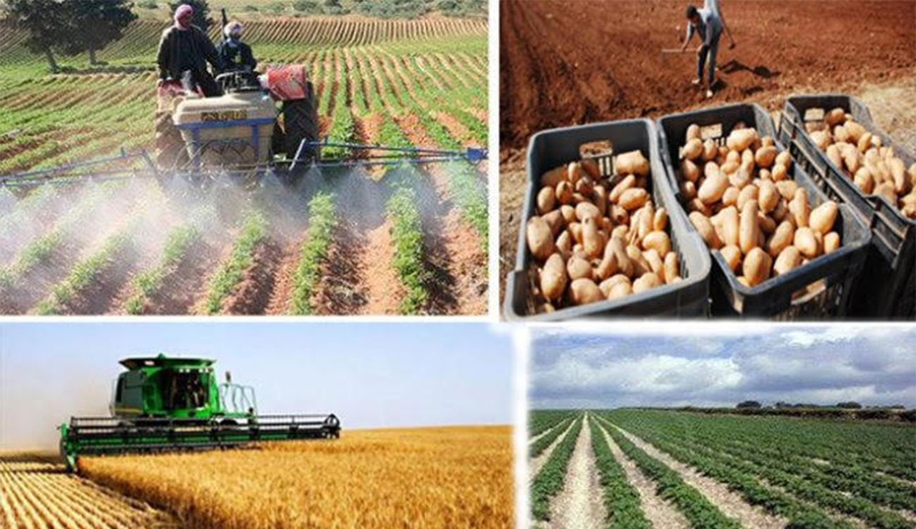 12 mai, fête de l’évacuation agricole : Des défis stratégiques, au-delà...