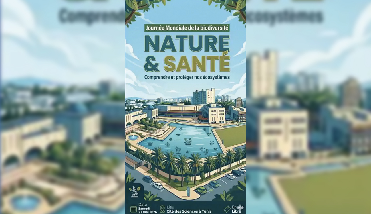 Ariana : coup d »envoi d&rsquo;une campagne de pulvérisation d’insecticides jusqu’au...