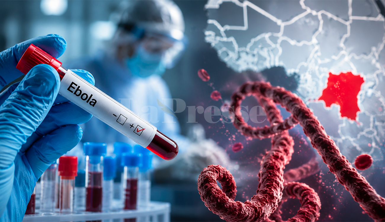 Virus Ebola : le ministère de la Santé confirme l&rsquo;absence...