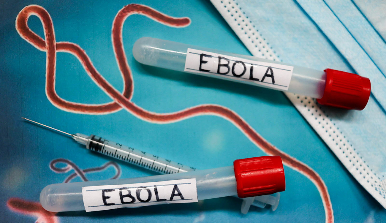 La propagation rapide d’une souche rare du virus Ebola au...