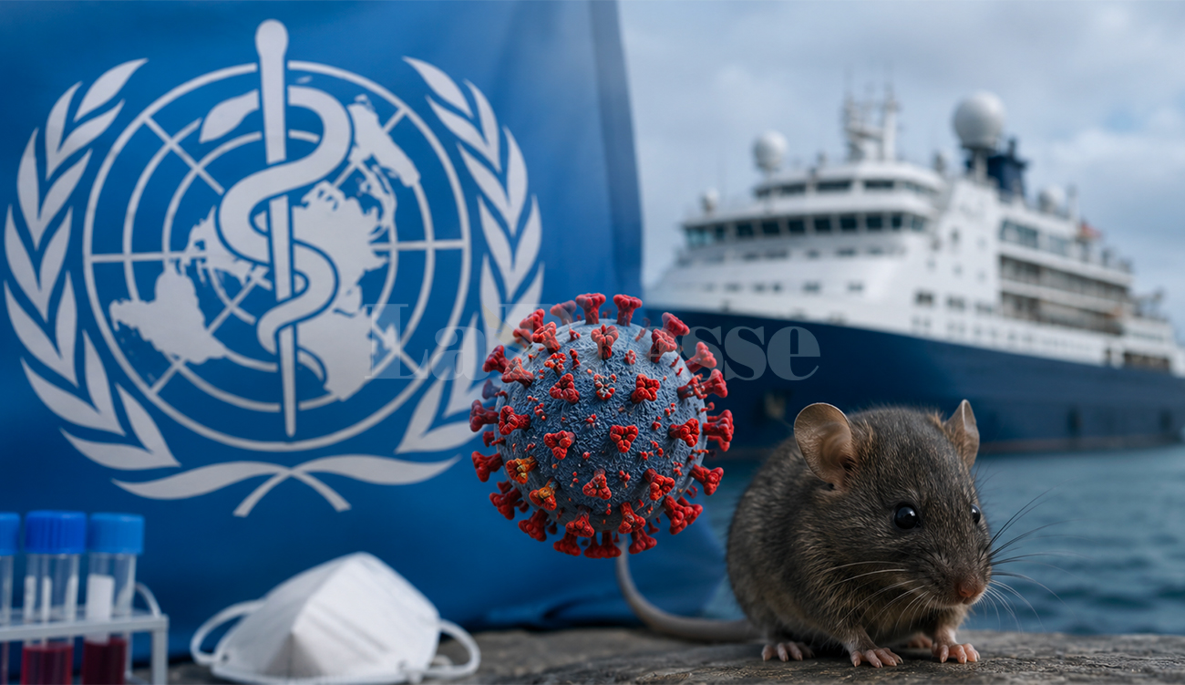 L&rsquo;OMS rassure sur le virus « Hanta »