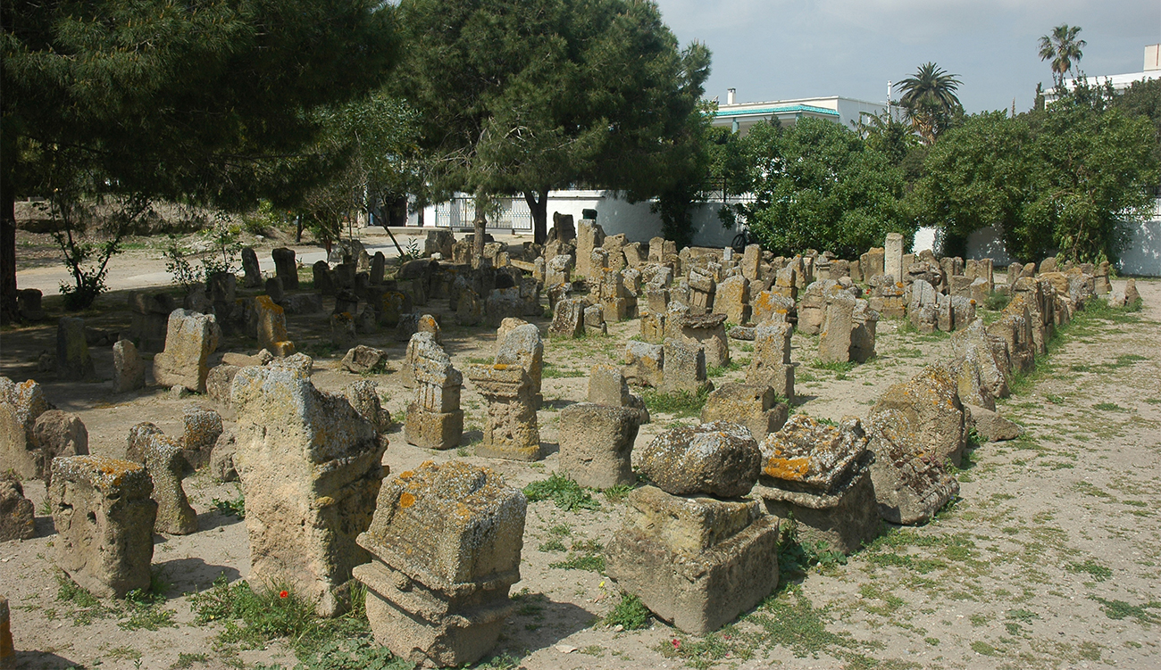 Carthage : la science lève une injustice millénaire sur nos...