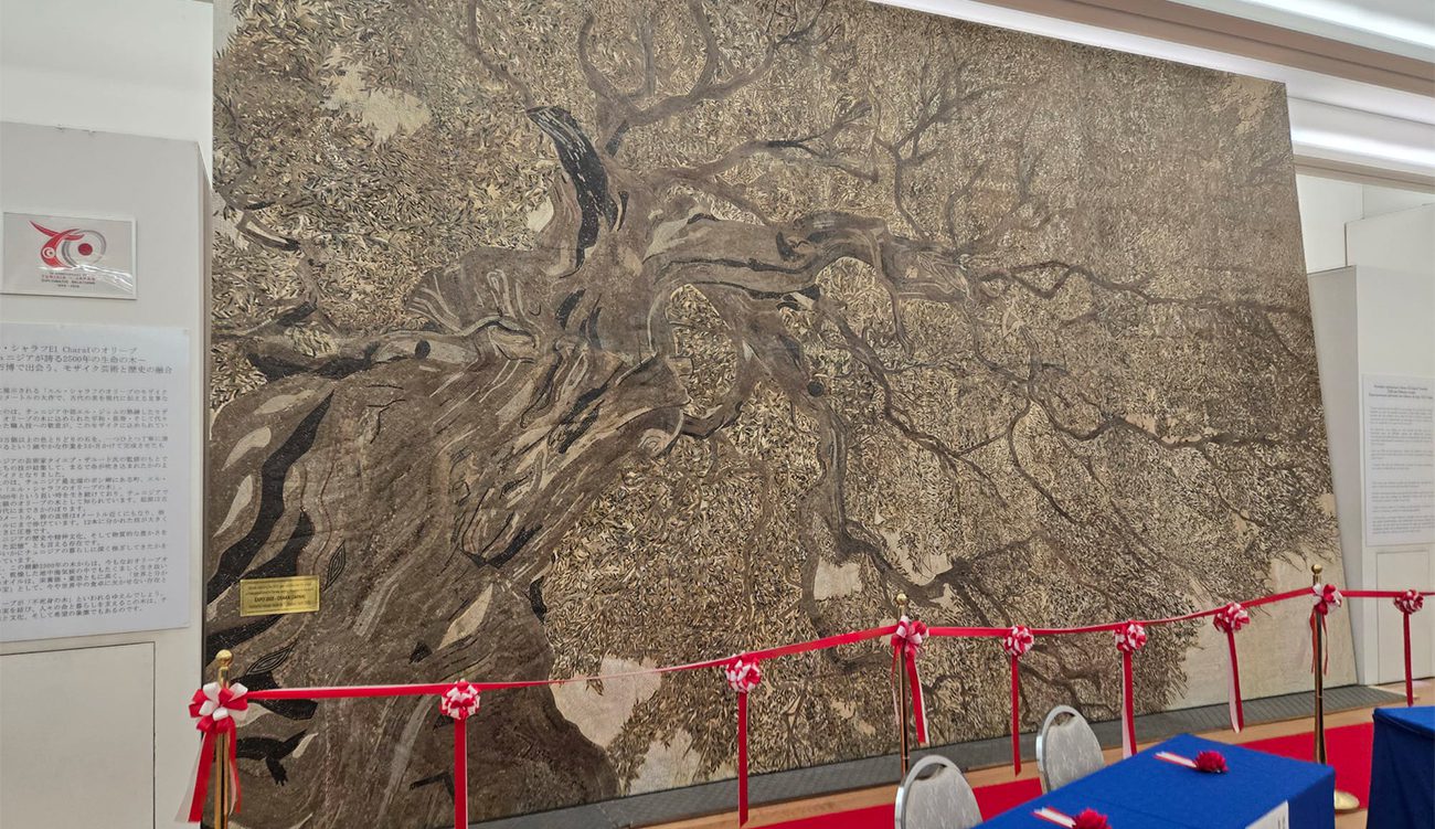 L’olivier d’Echraf, vieux de 2 500 ans, exposé au Japon...