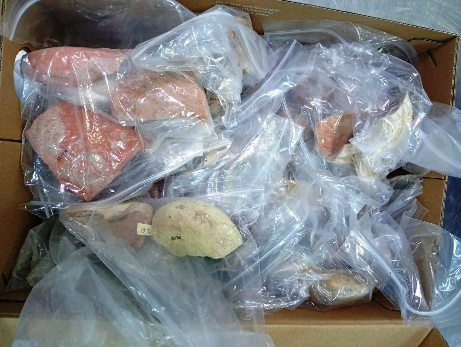 Patrimoine: Restitution de 210 pièces archéologiques à la Tunisie