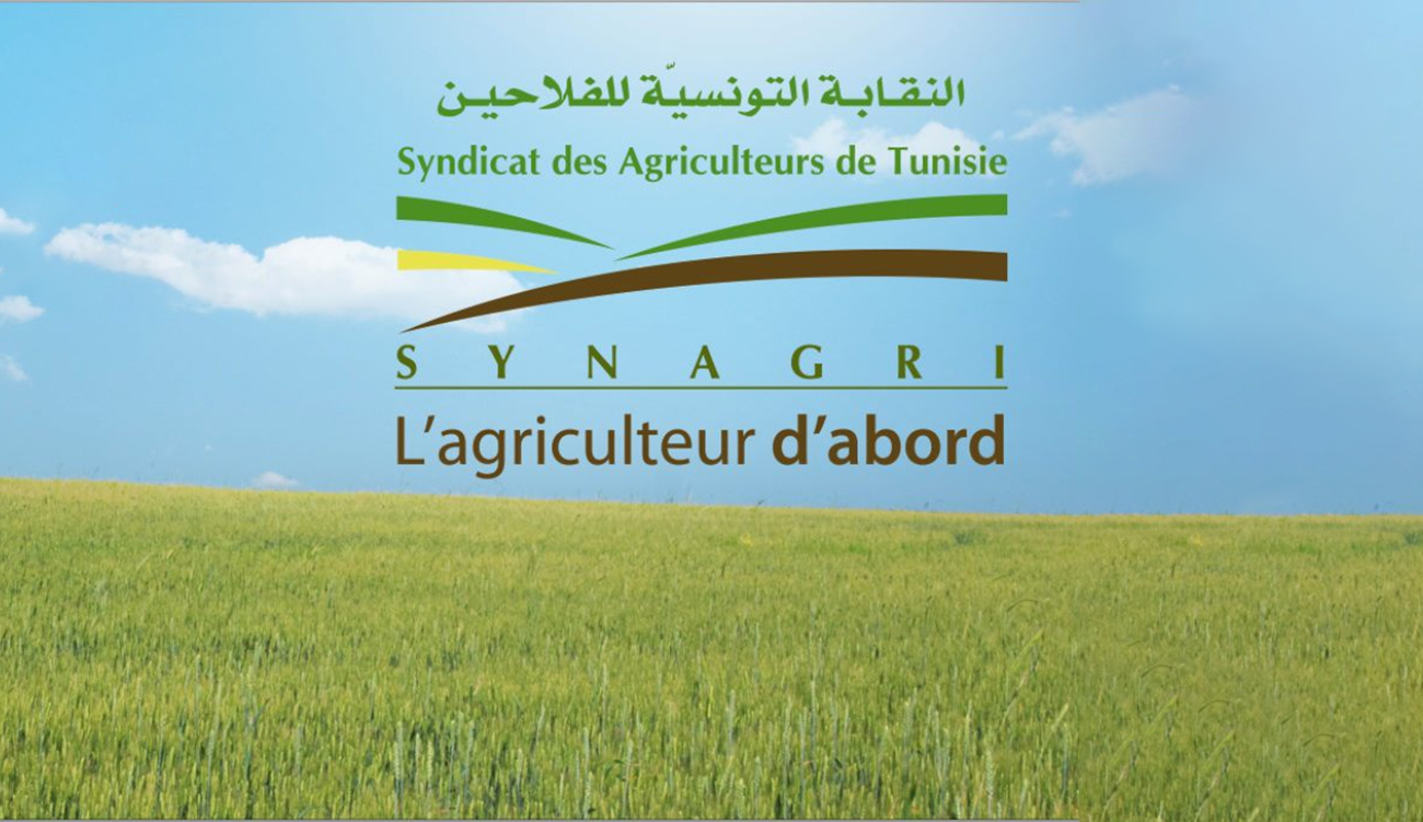 Les agriculteurs alertent sur la vente de moutons du sacrifice...