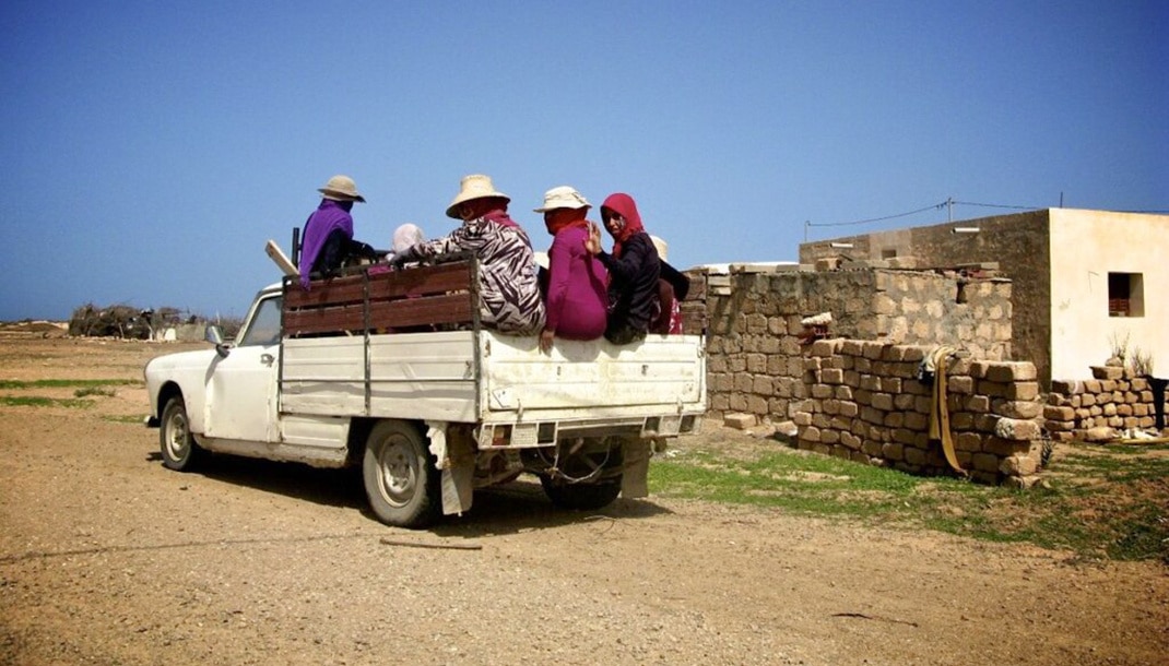 Gafsa : trois femmes perdent la vie dans un violent...
