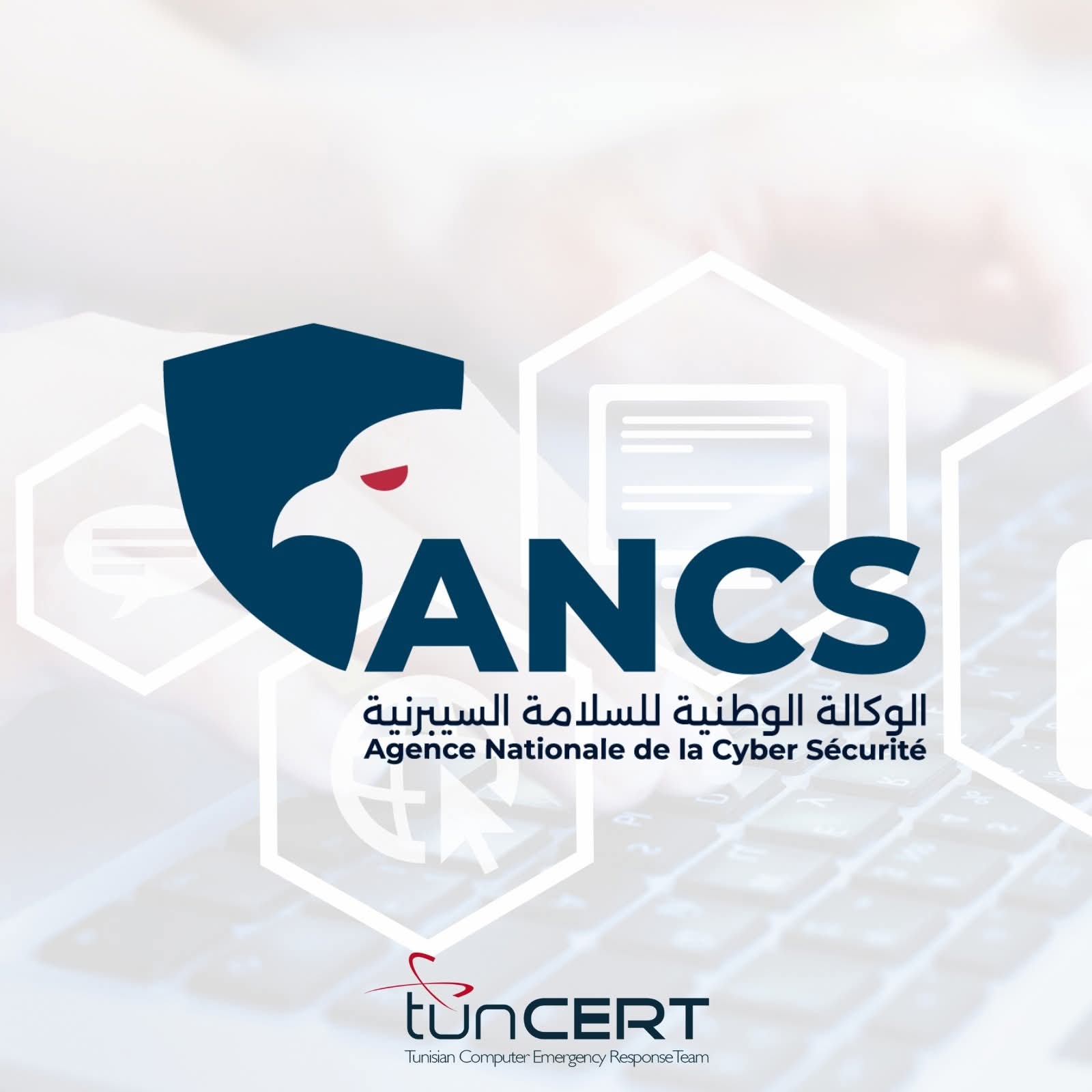 Tunisie : attention à ce site frauduleux imitant des plateformes...